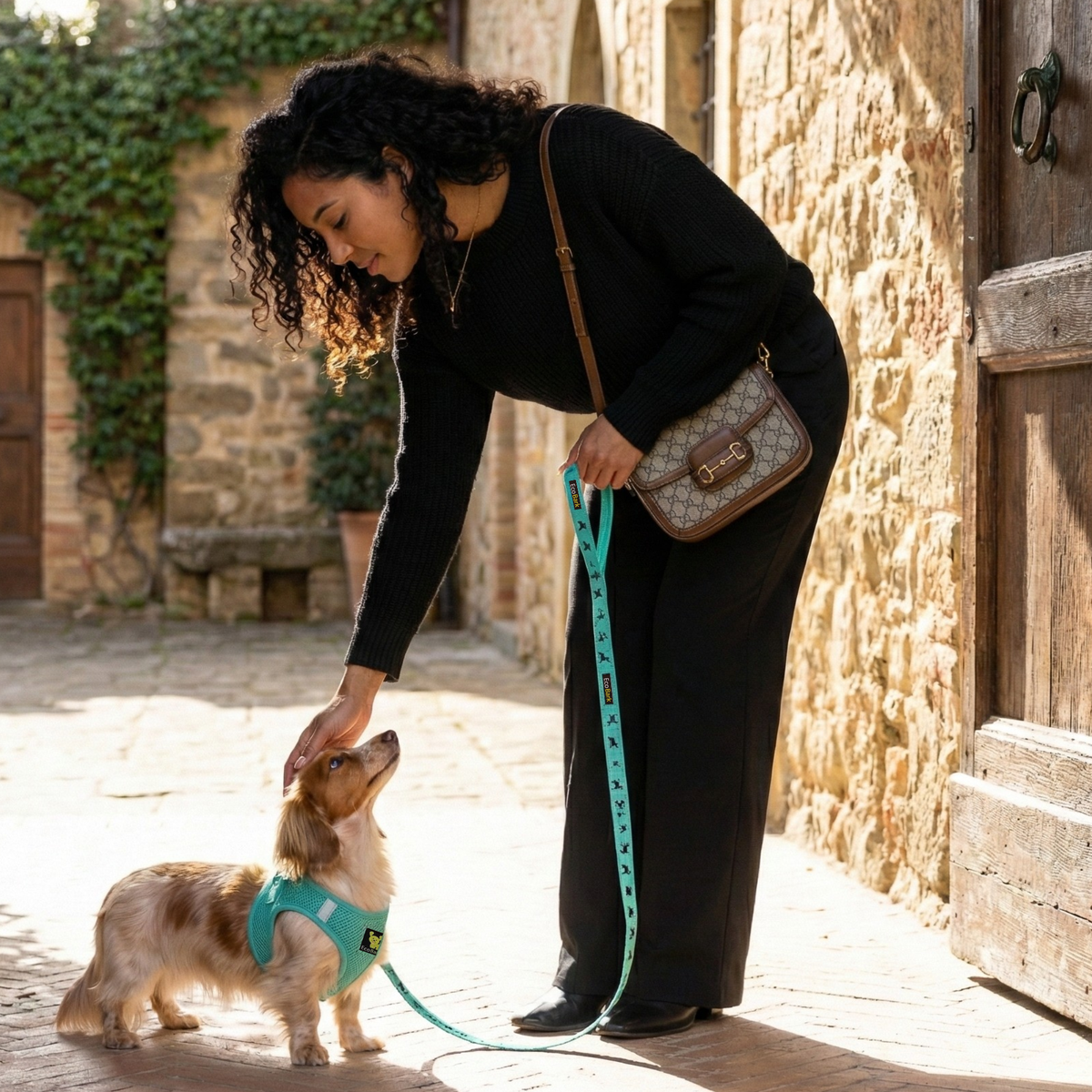 Mint Turquoise Step-In Dog Harness, Reflective Mesh, Teacup to XL