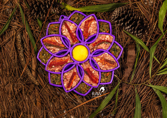 Raw Instincts pork blend in a purple flower shaped lick mat with strips of dried meat and an egg yolk center, on pine needles.