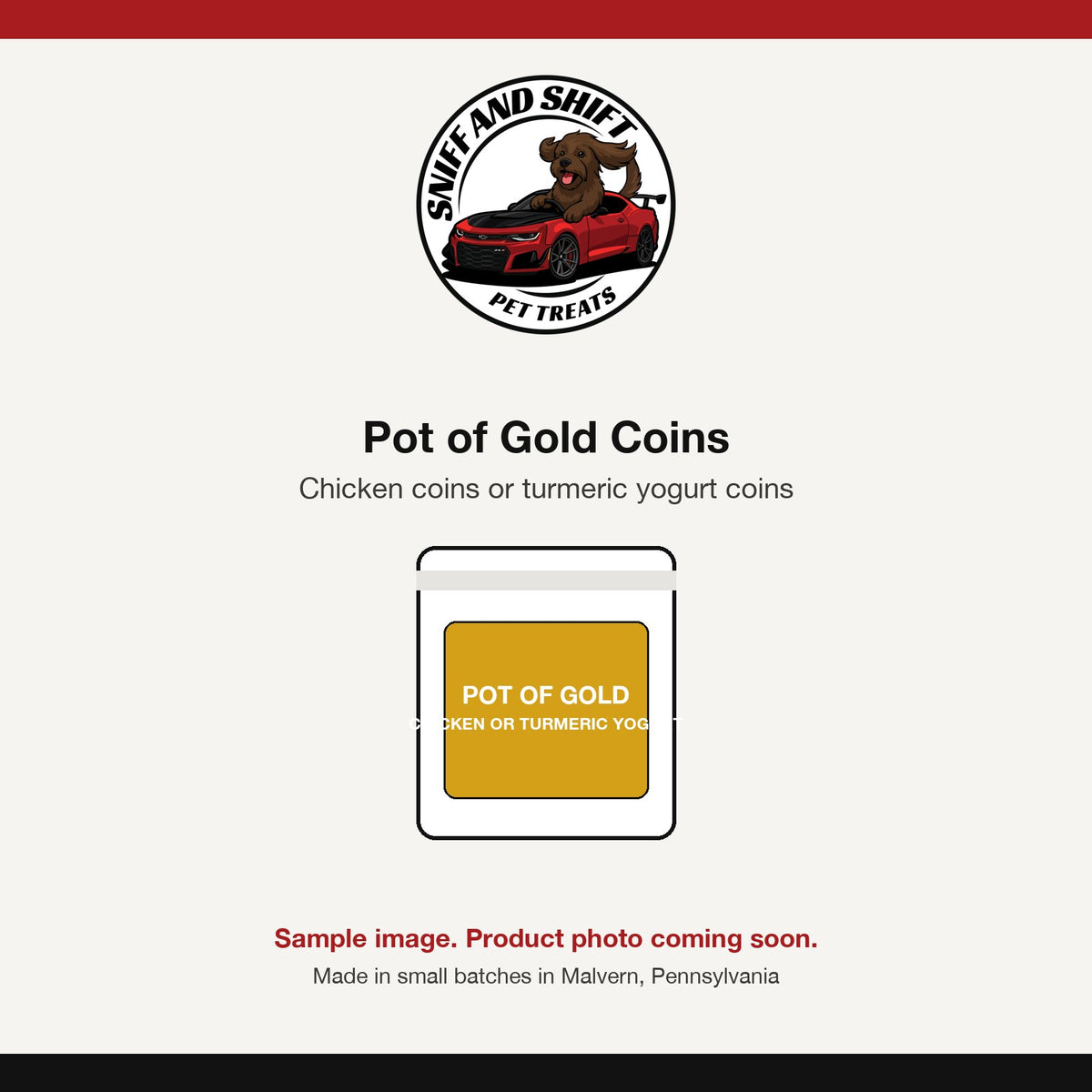 Pot of Gold dog treat coins, sample image