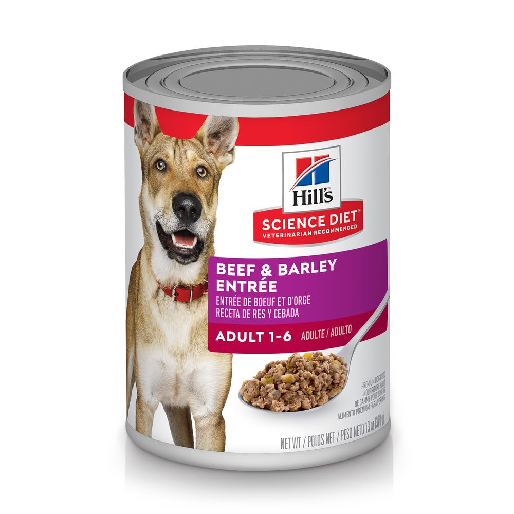 Hill's Science Diet Beef & Barley Entrée wet dog food can, 13oz