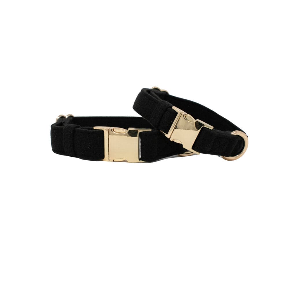 Ryan Dog Collar in black, shown across XS, S, M and L sizes, Pink Papyrus Co., sold through Sniff and Shift