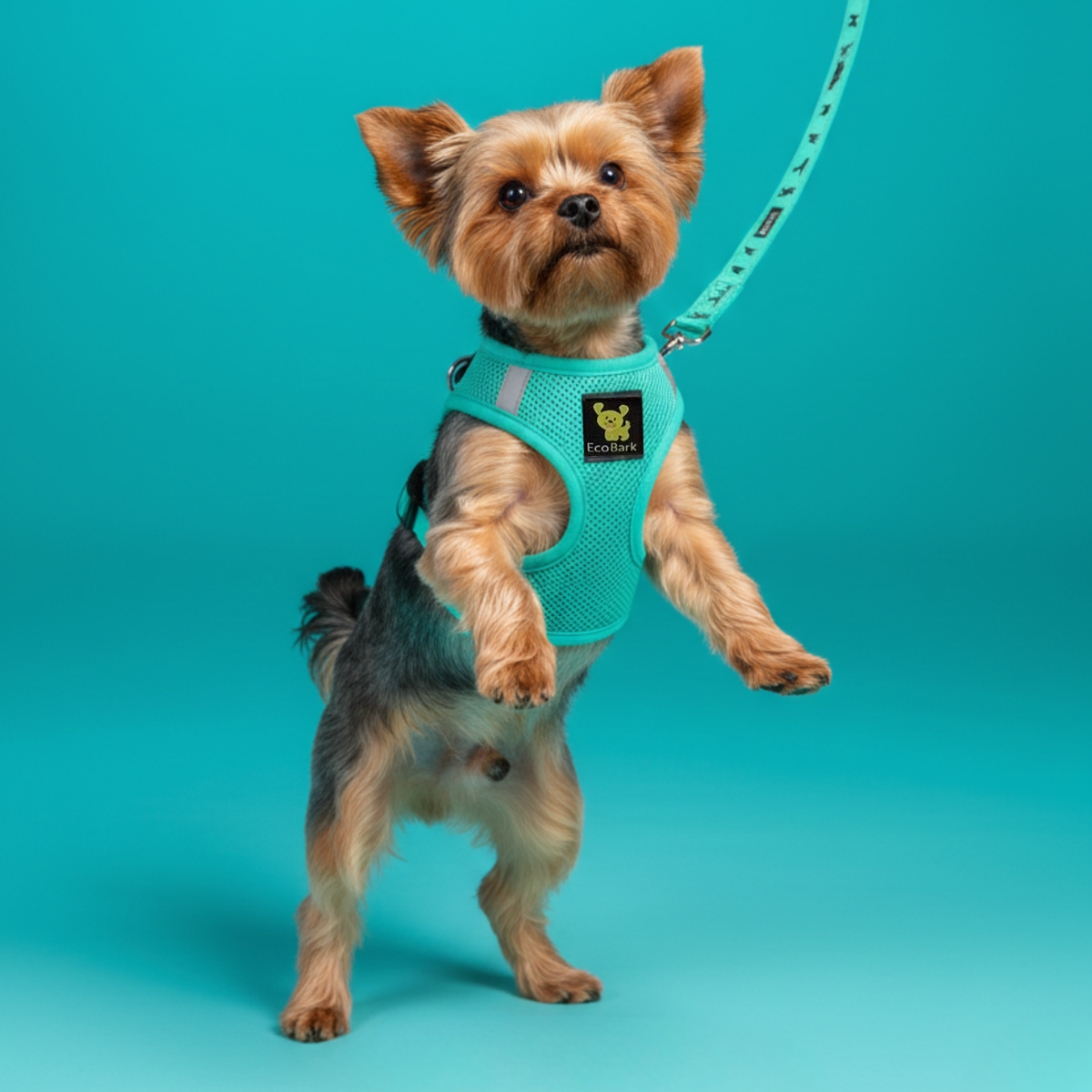 Mint Turquoise Step-In Dog Harness, Reflective Mesh, Teacup to XL