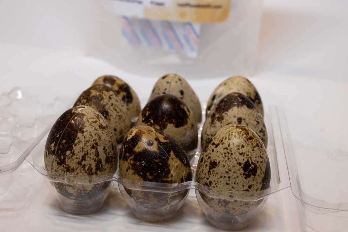 Close-up texture of a freeze-dried whole quail egg