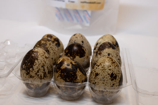 Sniff and Shift Freeze-Dried Raw Quail Eggs – Whole Egg Power for Dogs & Cats! BULK OPTIONS