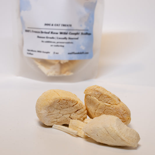 Sniff & Shift Freeze-Dried Wild-Caught Scallops
