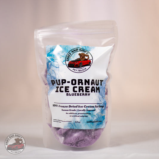 Blueberry Pup-Ornaut Ice Cream