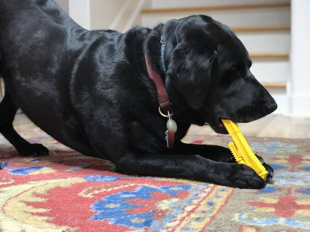 Pipe Wrench Nylon Chew Toy