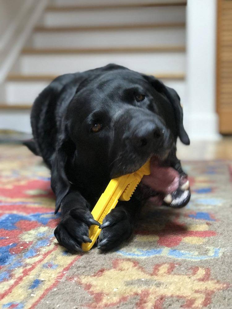 Pipe Wrench Nylon Chew Toy