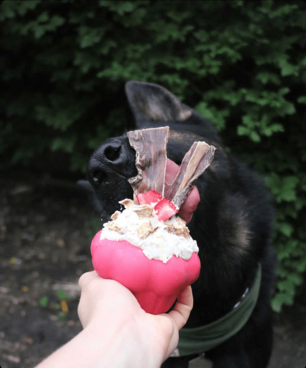 Cupcake eDispenser Chew Toy