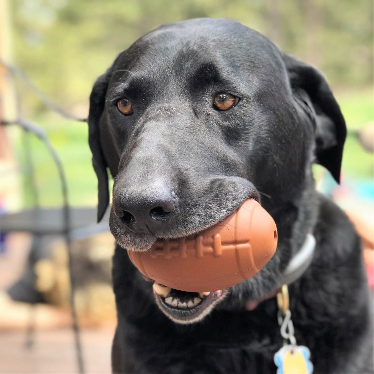 Football Rubber Chew Toy & Treat Dispenser Large