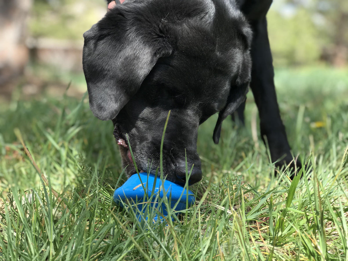 Flying Saucer Rubber Chew Toy and Dispenser