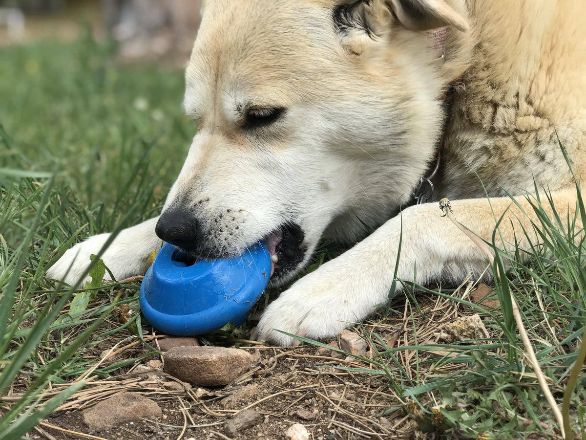 Flying Saucer Rubber Chew Toy and Dispenser