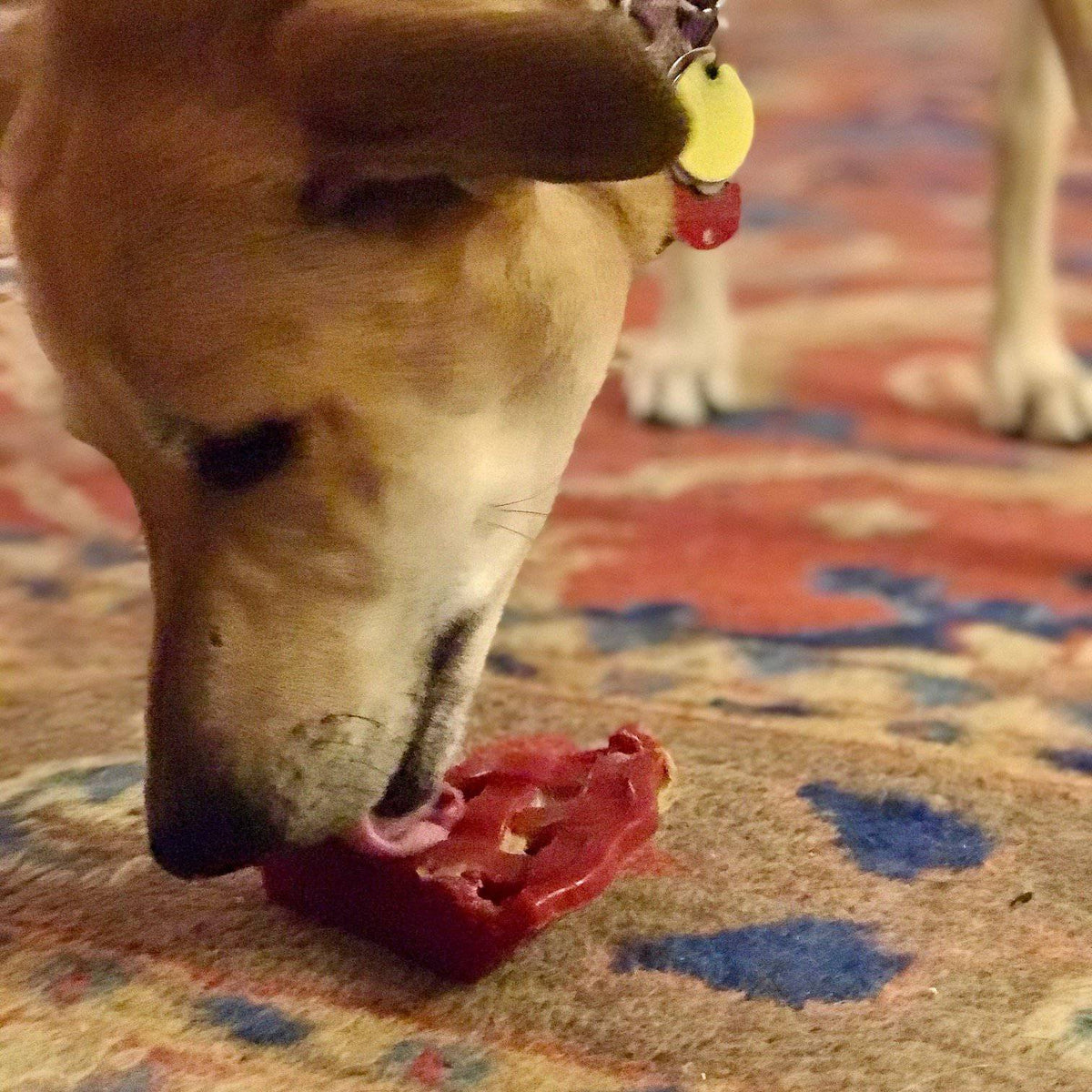 Cherry Pie Nylon Chew Toy