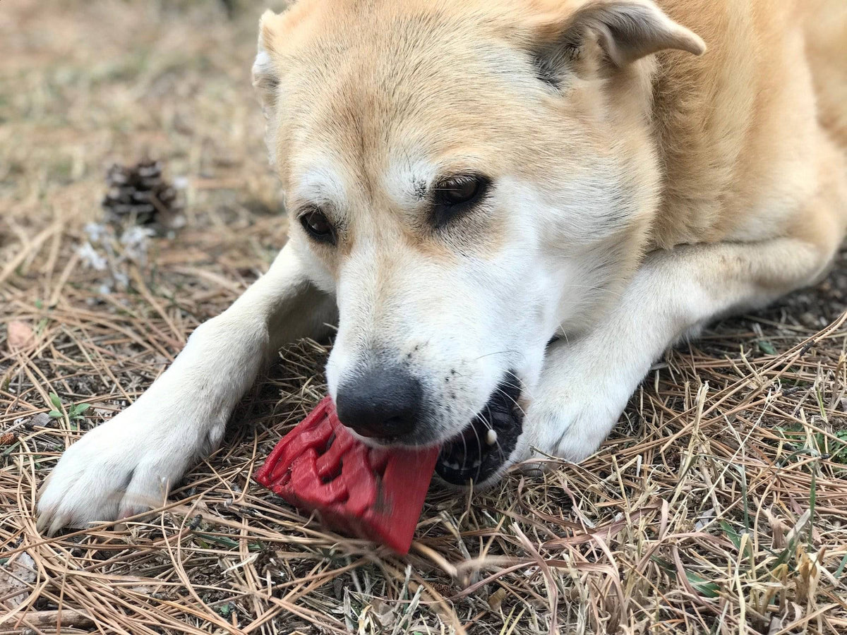 Cherry Pie Nylon Chew Toy