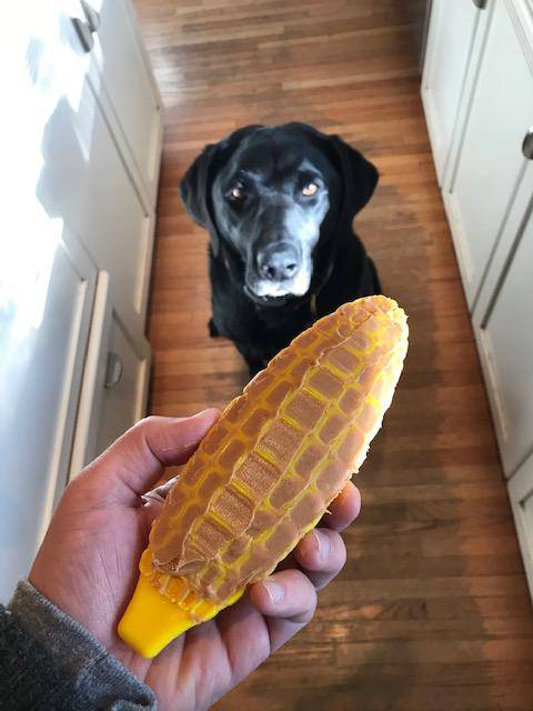Corn on the Cob Nylon Chew Toy