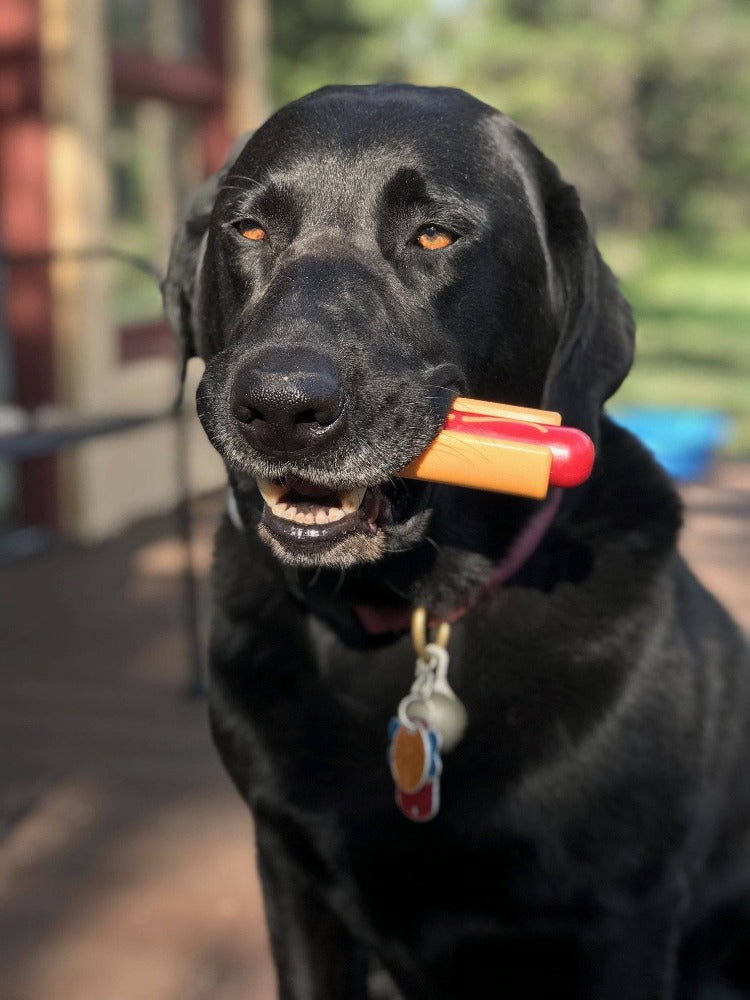 Hot Dog Nylon Chew Toy
