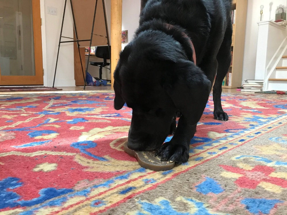Peanut Nylon Chew Toy