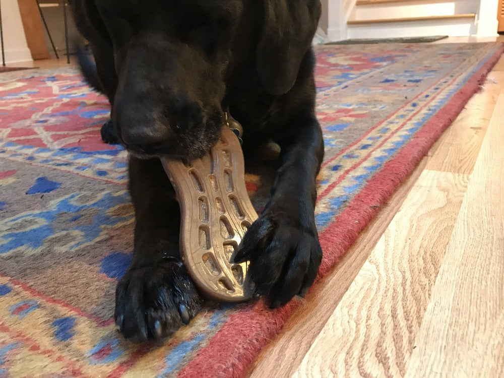 Peanut Nylon Chew Toy