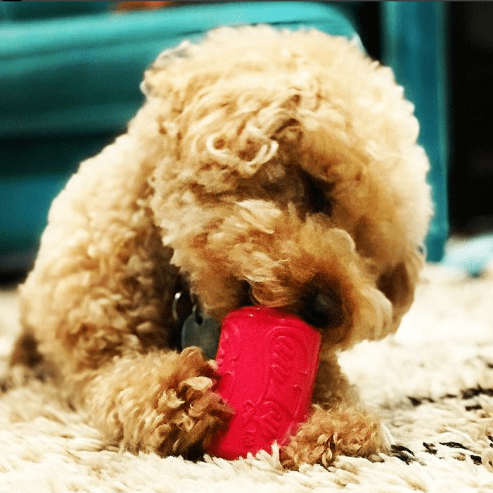 Puppy Can Toy Rubber Chew Toy Small