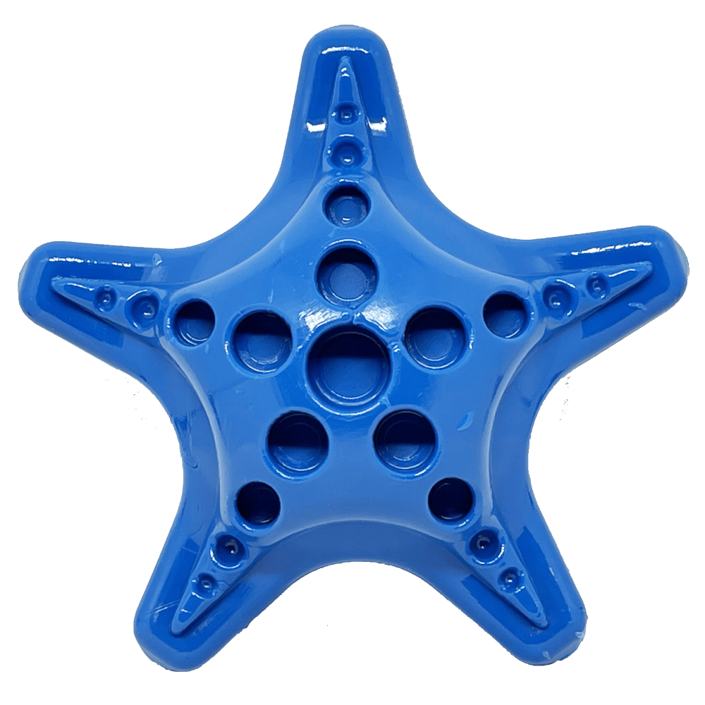 Starfish Nylon Chew Toy