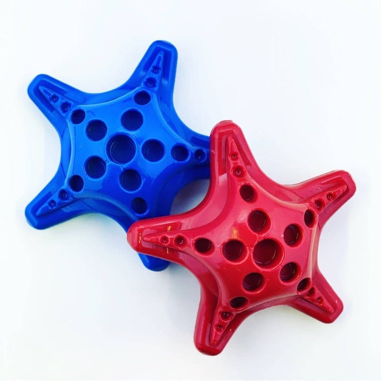 Starfish Nylon Chew Toy