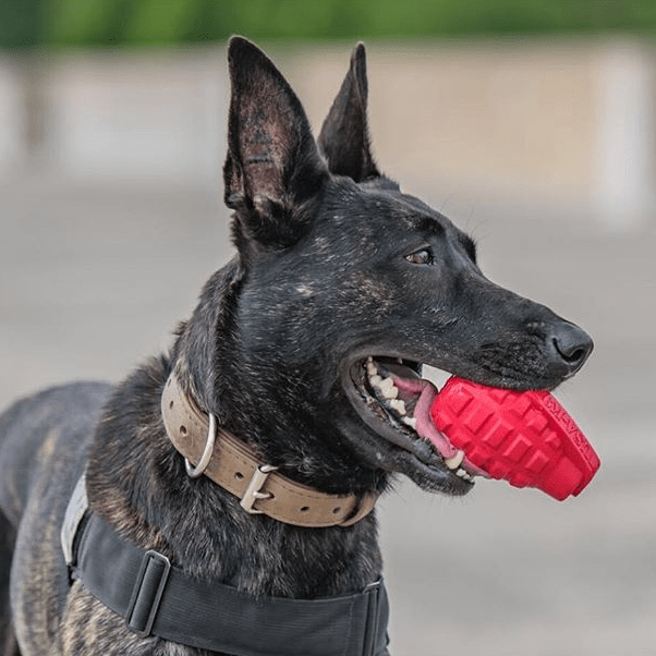 USA-K9 Grenade eDispenser Magnum Black