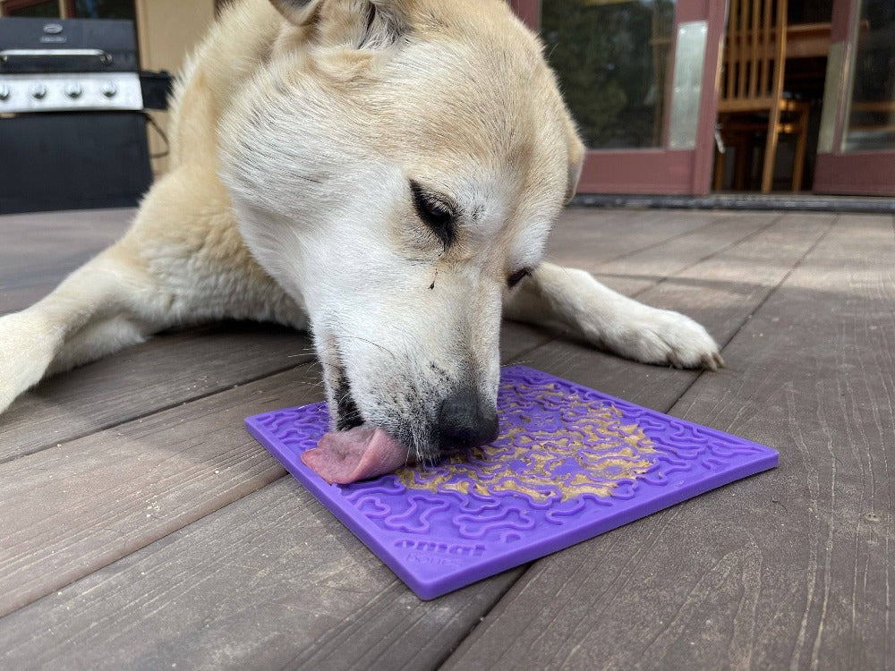 Bones eMat Lick Mat