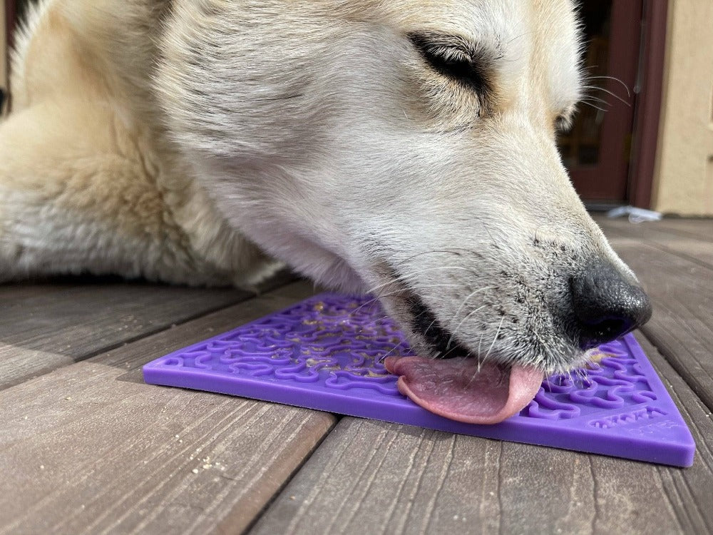 Bones eMat Lick Mat