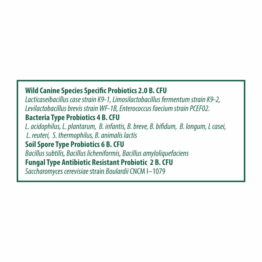 WellyTails SuperSauce Kibble Topper Powder, 12.7 oz