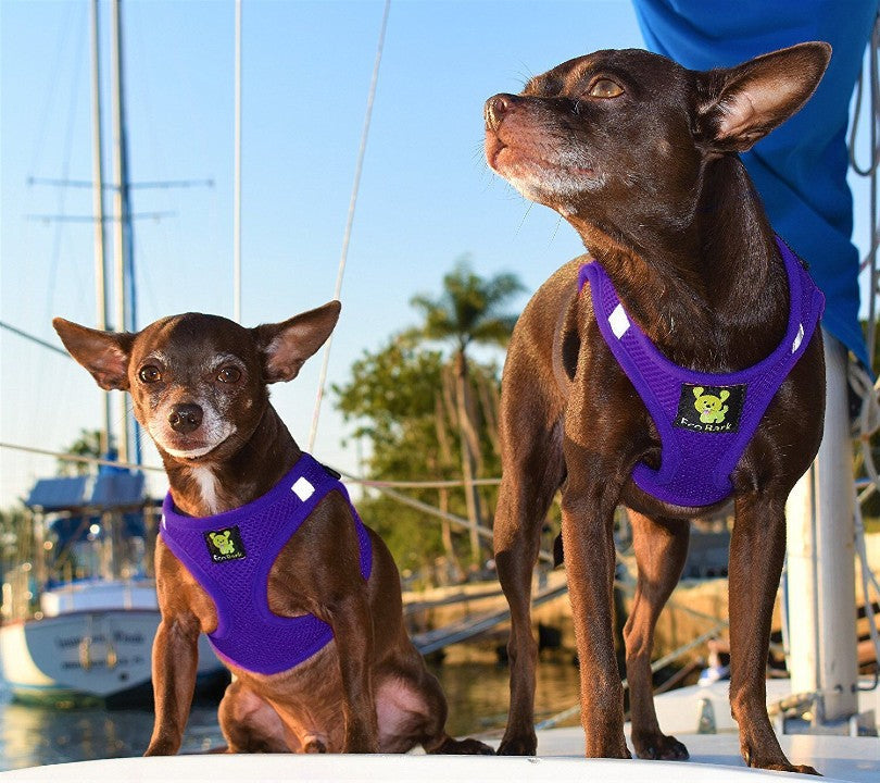 Purple Step-In Dog Harness, Reflective Mesh, Teacup to XL