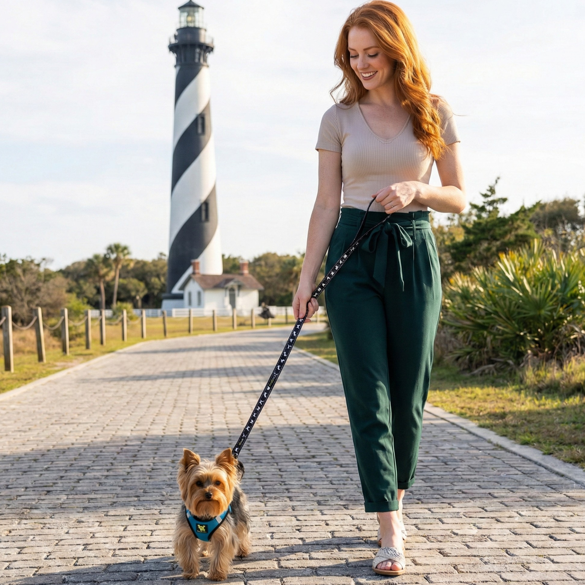 Step-In Dog Harness, Reflective Mesh, Teal