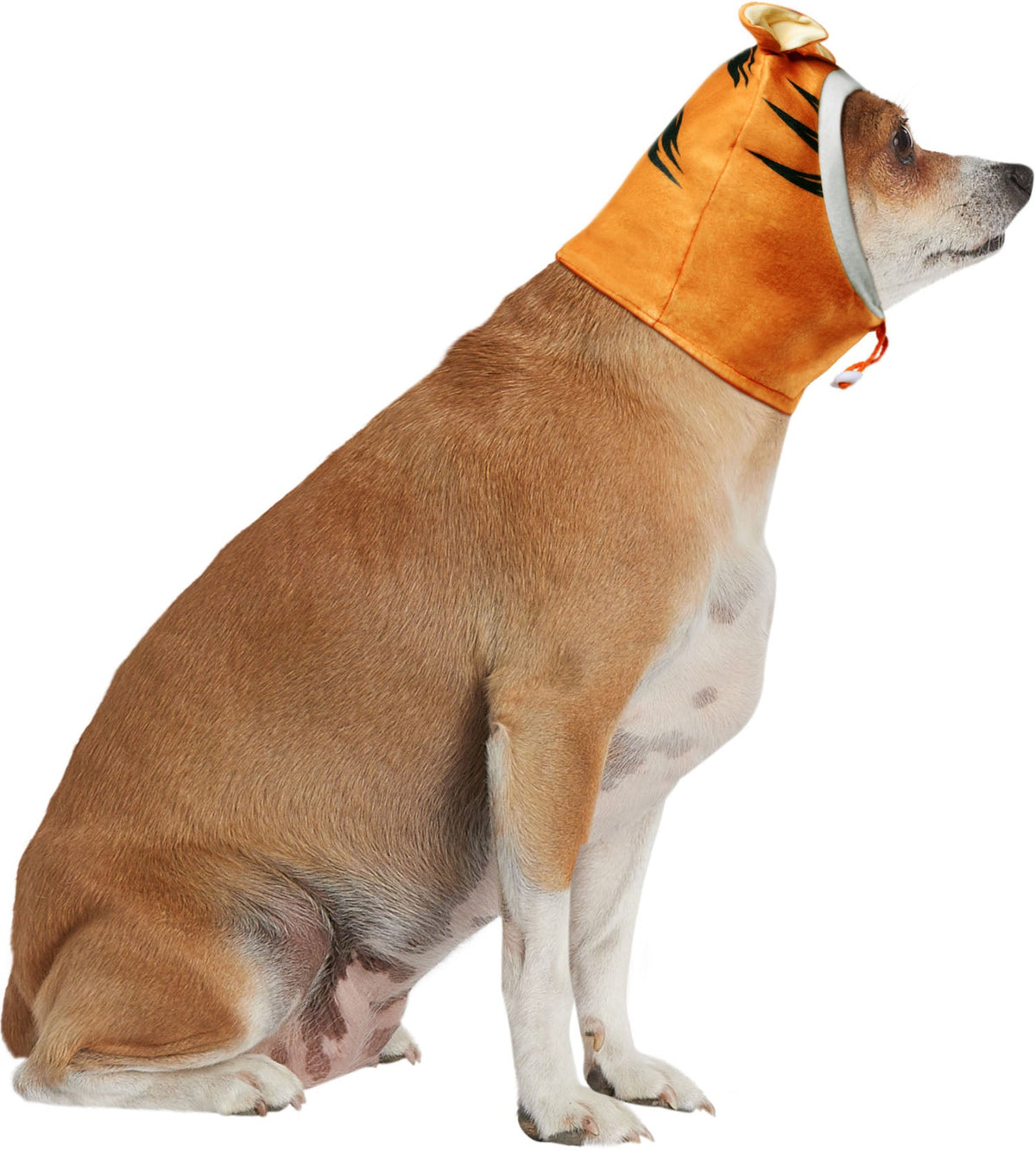 Tigger Pet Costume Headpiece