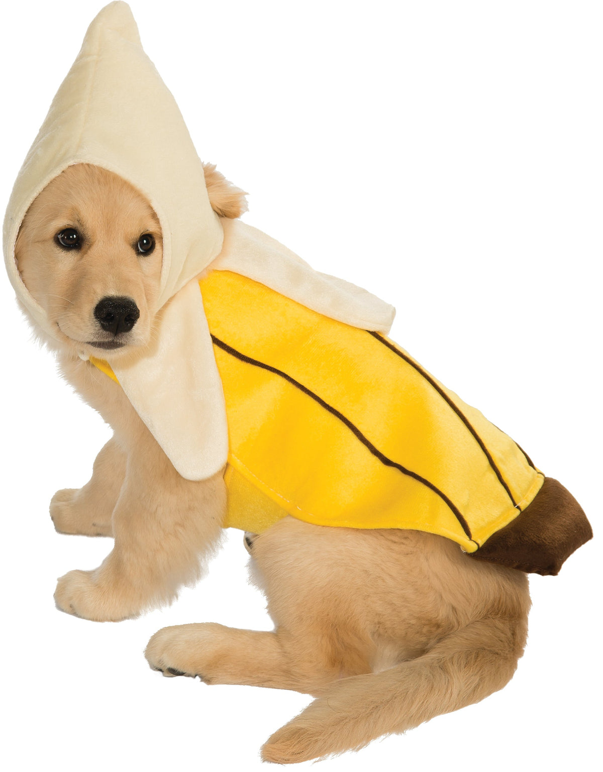 Dog or cat wearing the Banana Dog Cat Costume, Halloween Store, sold through Sniff and Shift