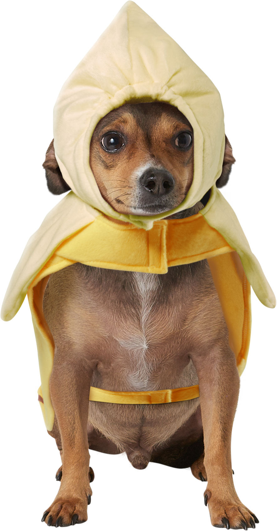 Banana Dog Cat Costume