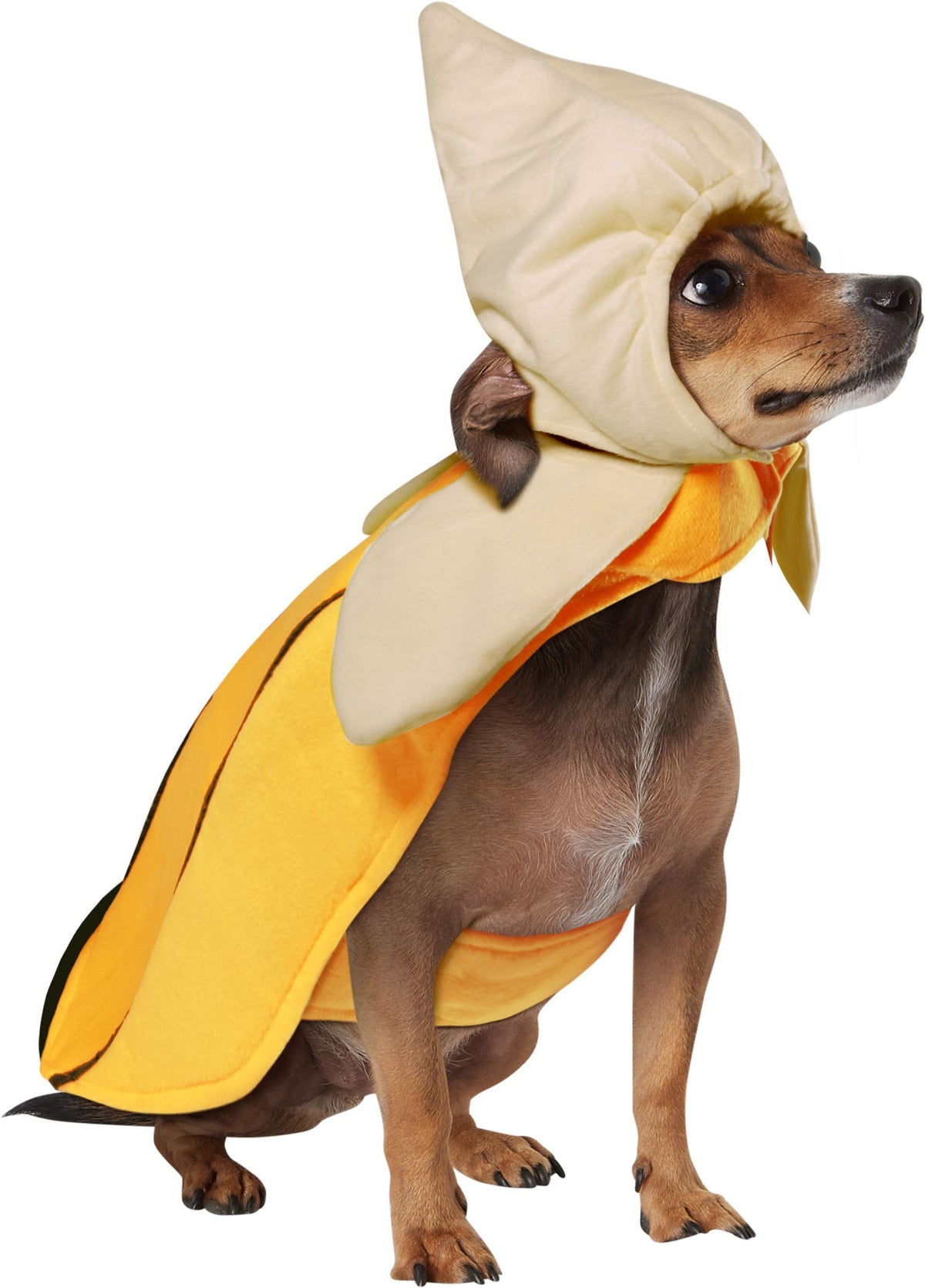 Banana Dog Cat Costume