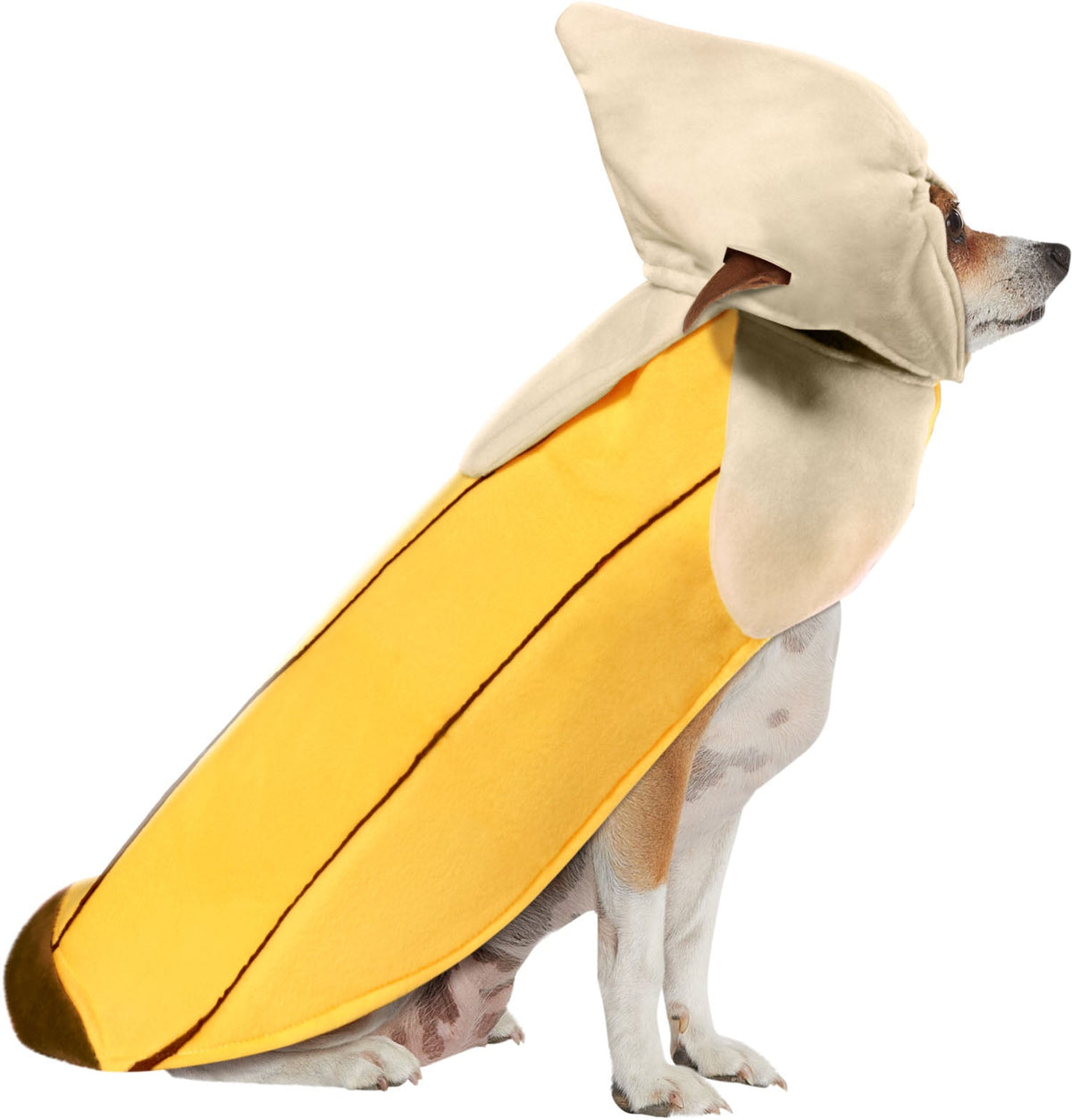 Banana Dog Cat Costume