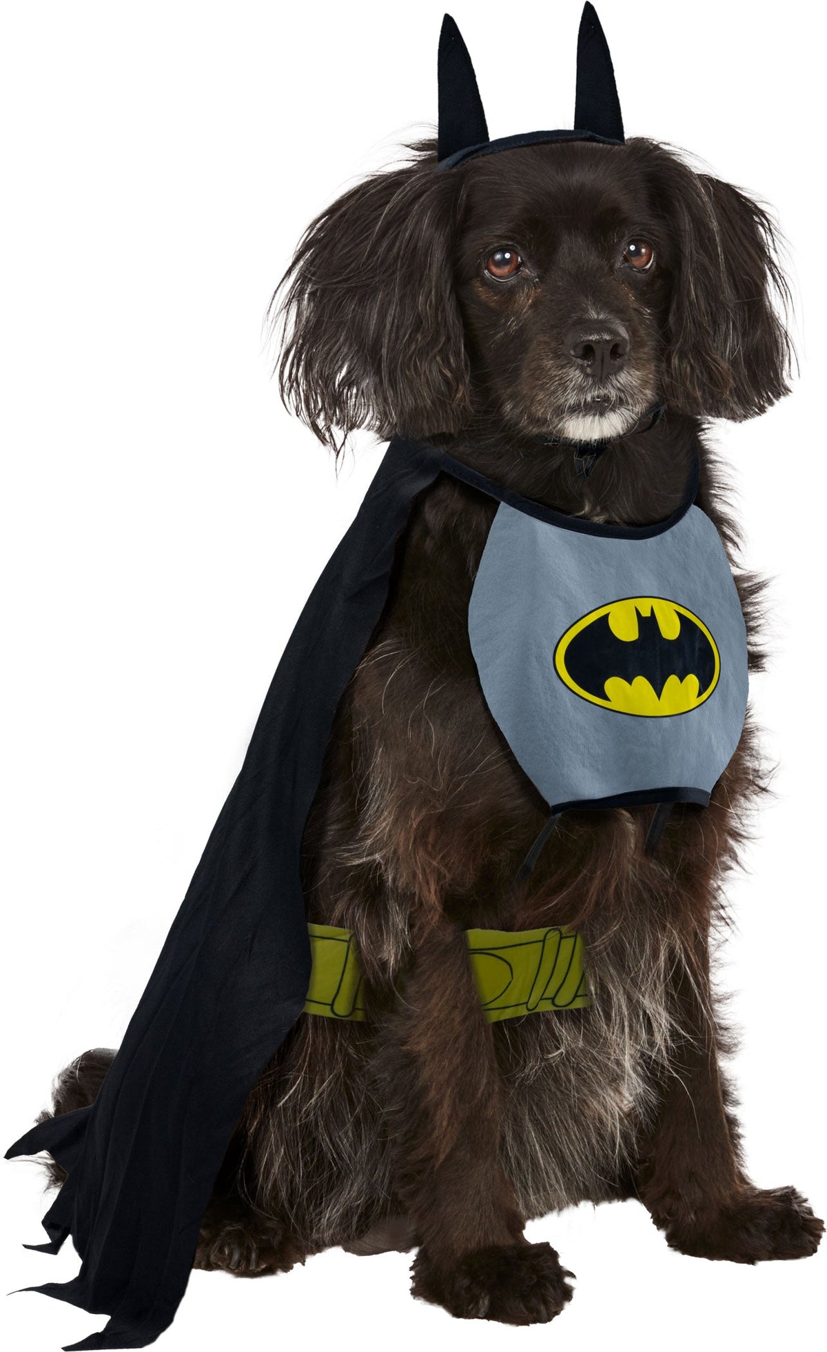 Batman Pet Costume