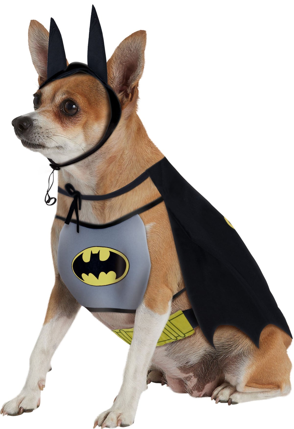 Batman Pet Costume