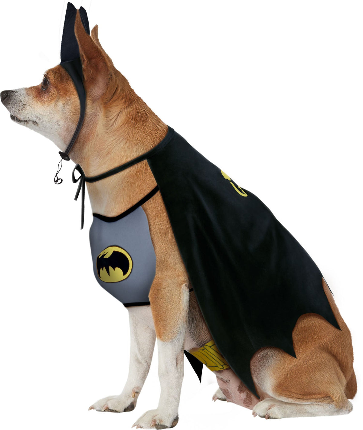 Batman Pet Costume
