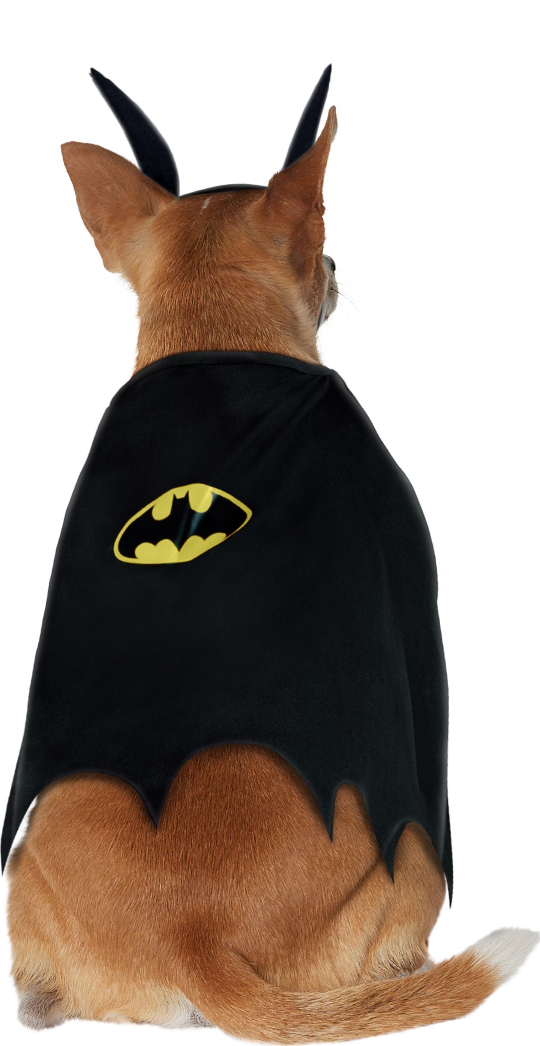 Batman Pet Costume