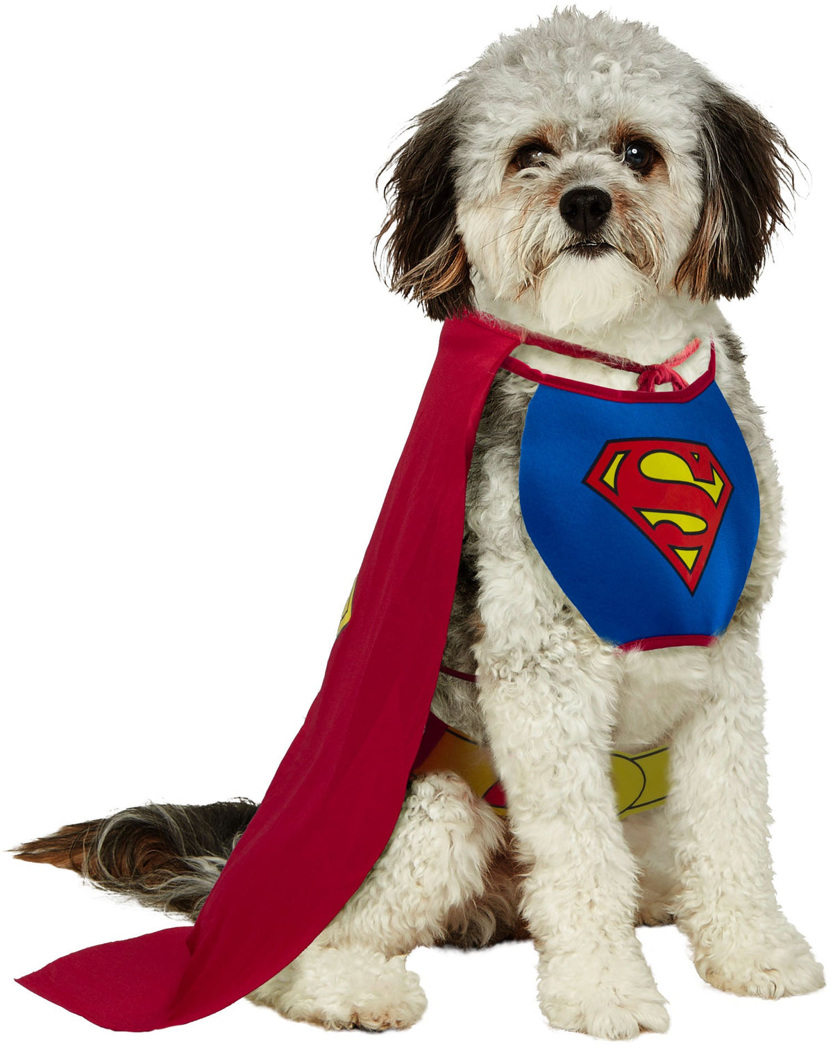 Dog wearing the Superman Pet Costume, Halloween Store, sold through Sniff and Shift