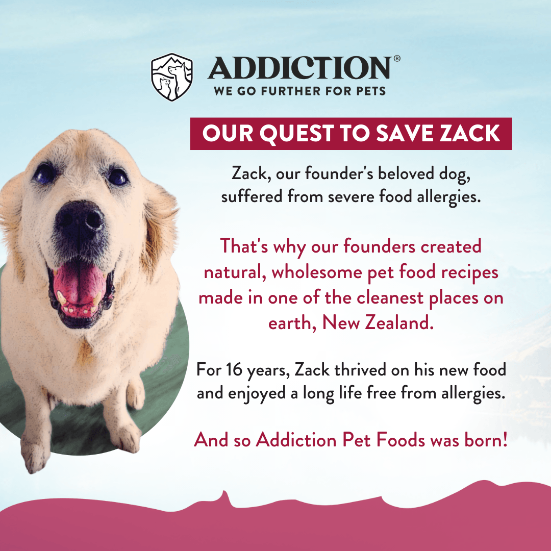 Viva La Venison Small Breed Dry Dog Food