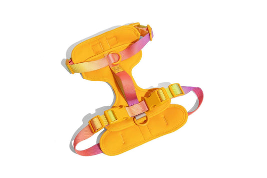 Kenna Dog Harness, adjustable with a back handle, Pink Papyrus Co., sold through Sniff and Shift