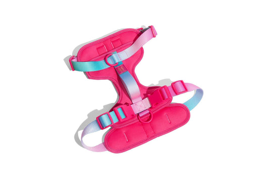 Stasia Dog Harness, shown in Extra Small, Small, Medium and Large sizes, Pink Papyrus Co., sold through Sniff and Shift