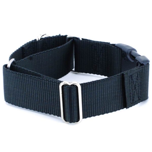 Nylon Buckle Martingale Dog Collars 1.5″ by 2 Hounds Design, sold through Sniff and Shift