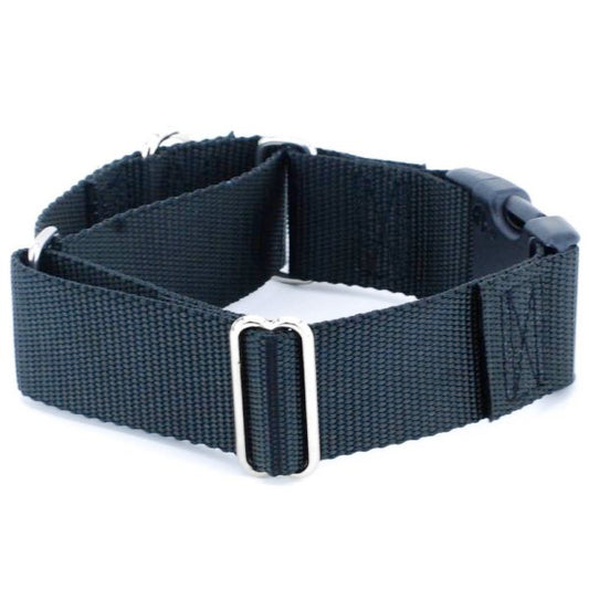 Nylon Buckle Martingale Dog Collars 1.5″ by 2 Hounds Design, sold through Sniff and Shift