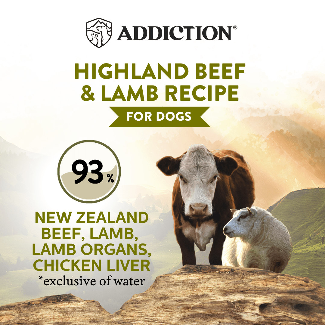 Wild Islands Highland Beef & Lamb Canned Dog Food 185g