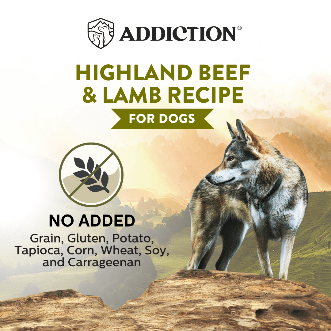 Wild Islands Highland Beef & Lamb Canned Dog Food 185g