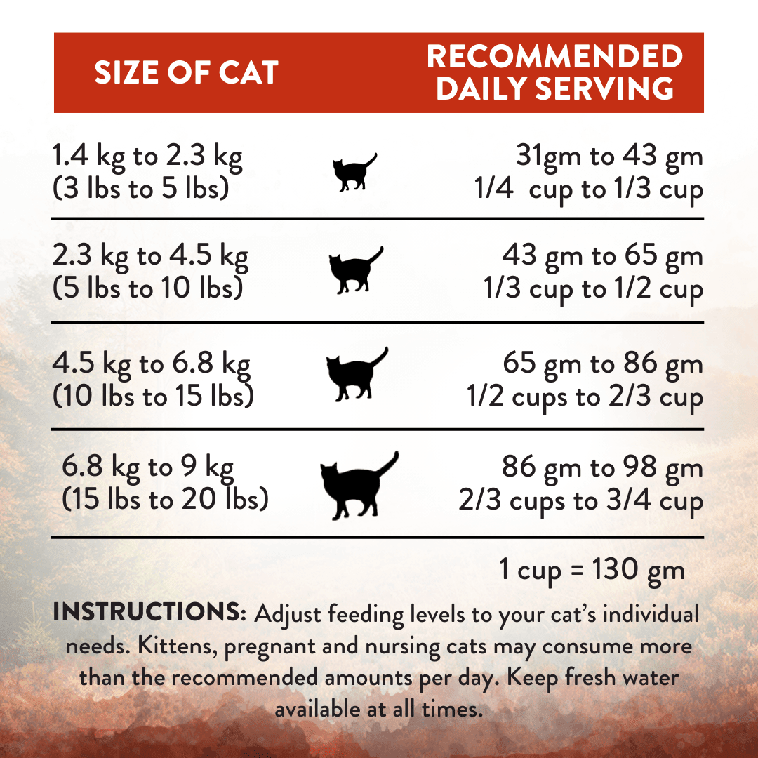 Wild Islands Forest Meat Venison Dry Cat Food