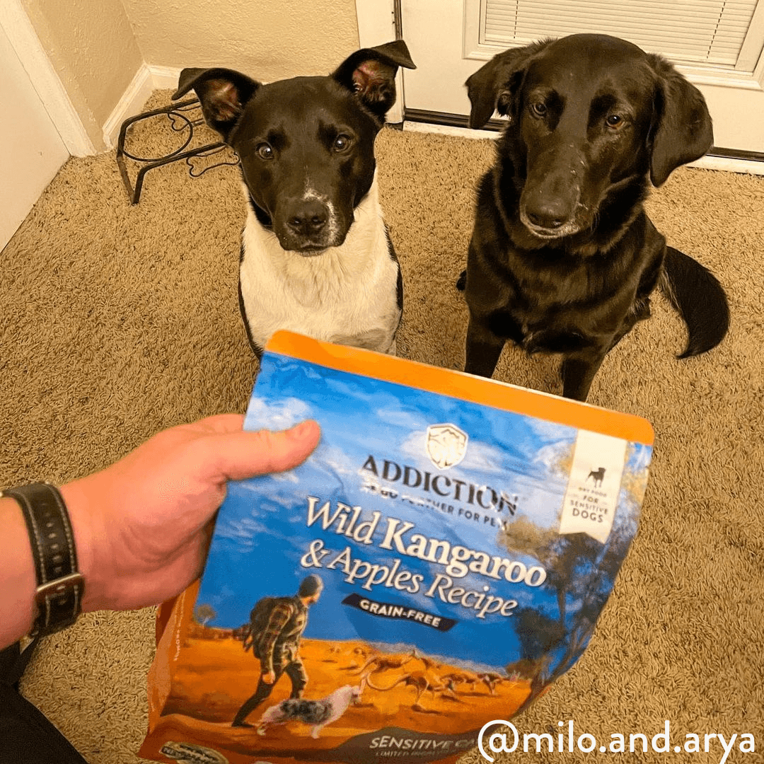 Wild Kangaroo & Apples Dry Dog Food
